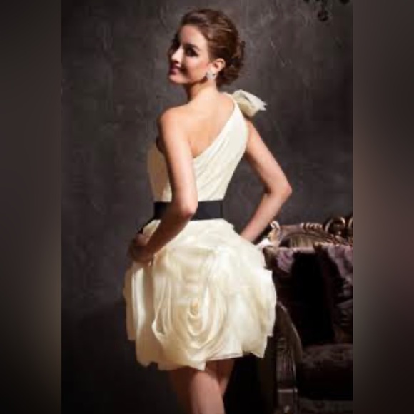 Dress for a special occasion - Picture 3 of 3